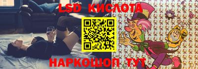 шишки Кинель