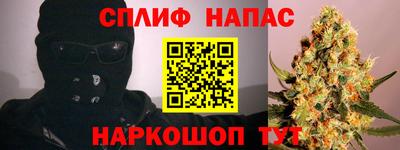 сатива Кингисепп