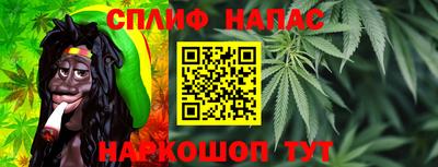 сатива Кингисепп