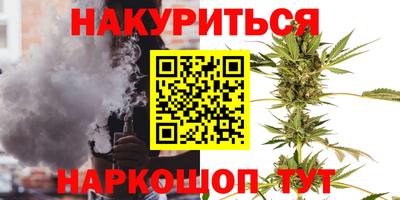 сатива Кингисепп