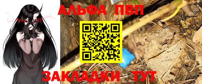 сатива Кингисепп