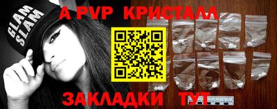 сатива Кингисепп