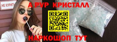 сатива Кингисепп