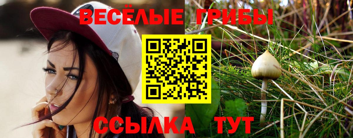 Галлюциногенные грибы мицелий Дальнегорск