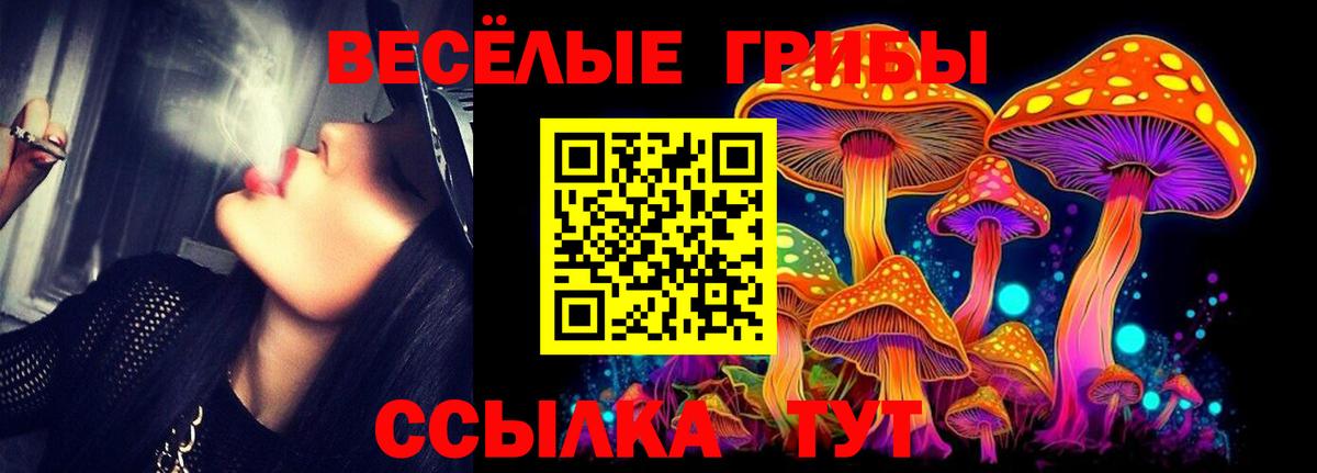 Галлюциногенные грибы MAGIC MUSHROOMS  Вход с VPN  Галлюциногенные грибы Magic Shrooms  Дальнегорск 
